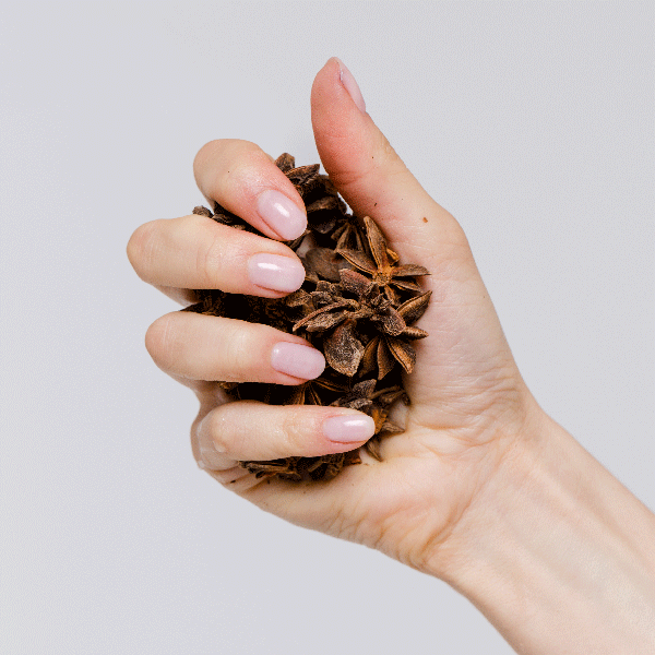 Ingredient Story: Star Anise