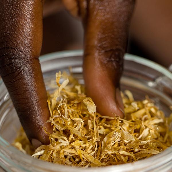 Ingredient Story: Calendula